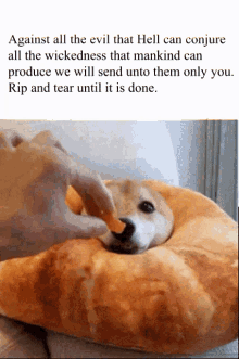 a dog is laying in a loaf of bread with a caption against all the evil