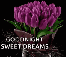 Sweet Dreams Good Night GIF - Sweet Dreams Good Night Tulips GIFs