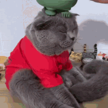 Cat Happy GIF - Cat Happy Fur GIFs