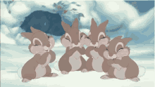 Bambi Rabbits GIF - Bambi Rabbits Thumpers Sisters GIFs