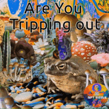 Tripping Out Tripping GIF - Tripping Out Tripping Are You Tripping GIFs