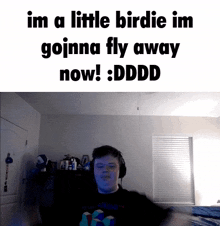 Slowoer Flying GIF - Slowoer Flying Im A Little Birdie GIFs