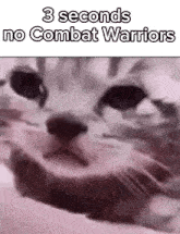 Roblox Combat Warriors GIF - Roblox Combat Warriors GIFs