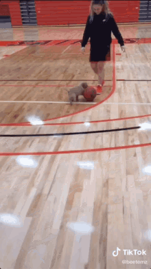 Chasing Basketball GIF - Chasing Basketball Puppy GIFs