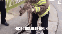 Deer Bruh GIF - Deer Bruh GIFs