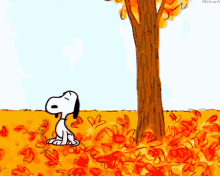 snoopy is standing in a field of leaves under a tree