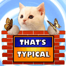 That'S Typical That Is Typical GIF - That'S Typical That Is Typical Cat GIFs
