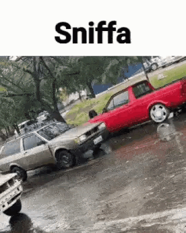 sniffa-car-funny.gif