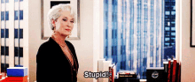 Meryl Streep The Devil Wears Prada GIF - Meryl Streep The Devil Wears Prada Stupid GIFs