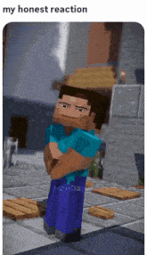 Meme Minecraft GIF - Meme Minecraft My Honest Reaction GIFs