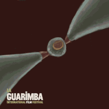 Guarimba Crazy GIF - Guarimba Crazy Wtf GIFs