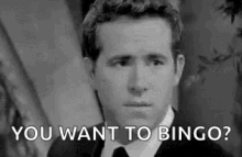 Bingo Ryan Reynolds GIF