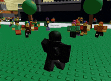 a group of roblox characters are standing in a grassy area and one of them says hey ladies