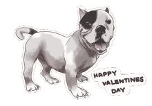 valentines day czar bayas valentines dog panda dog bully