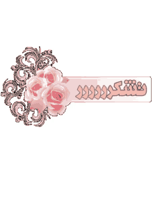 tnx flower pink rose