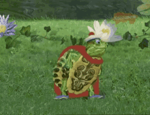 dancing turtle