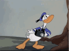 Donald Duck Pretty Please GIF - Donald Duck Pretty Please Camera GIFs