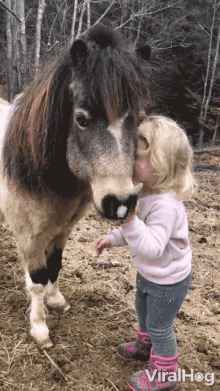Girl Bonds With Pony Viralhog GIF
