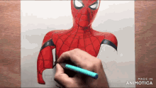 a person is drawing a spider man with a blue marker