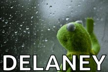 a kermit the frog looking out a window with the name delaney written on it