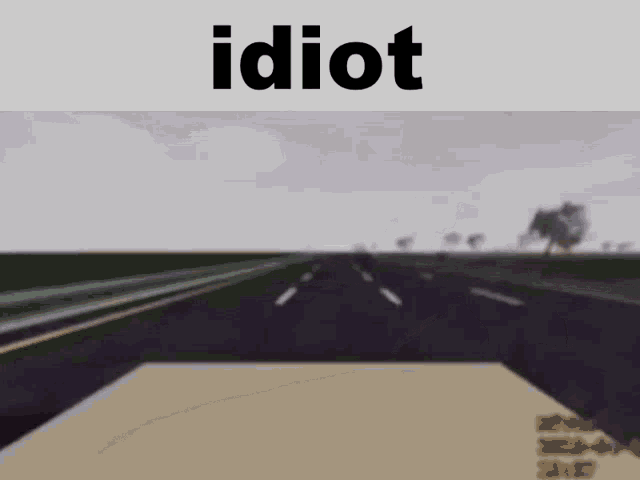 Idiot. - Roblox