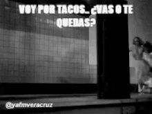 Tacos Fat GIF - Tacos Fat Eat GIFs