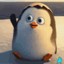 Pinguini Gamer Zone GIF - Pinguini Pinguin Gamer Zone GIFs