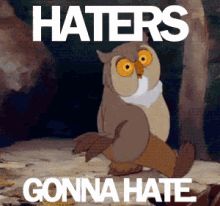 Haters Gonna Hate Owl GIF - Haters Gonna Hate Owl Look GIFs