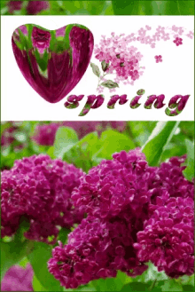 Spring Time Warm Weather GIF - Spring Time Warm Weather Flowers GIFs
