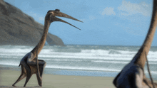 prehistoric planet season 2 dinosaur pterosaur t rex