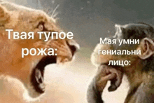 a lion and a monkey are talking to each other in russian .