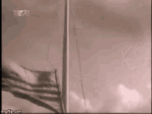 Flag Down GIF - Flag Down Wave GIFs