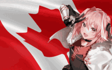 Astolfo Canada GIF - Astolfo Canada Flag GIFs