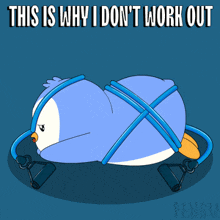 a cartoon of a penguin tied up with a rope with the caption " this is why i don t work out "