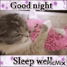 Sleep Well Goodnight GIF - Sleep Well Goodnight Sleeping Cat GIFs