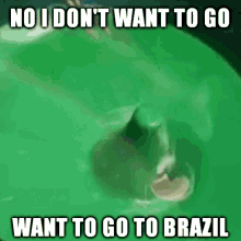 When When The GIF - When When The Brazil GIFs