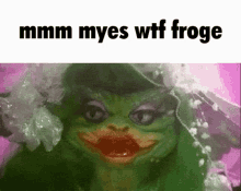 froge mmm myes wtf froge frog