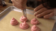 pink icing icing baking pastry bag dessert