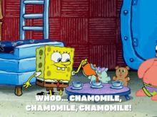 chamomile tea spongebob