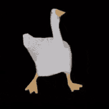 Duck Dance GIF
