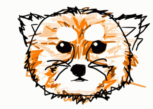 Red Panda Red Pandas Need More Gifs GIF - Red Panda Red Pandas Need