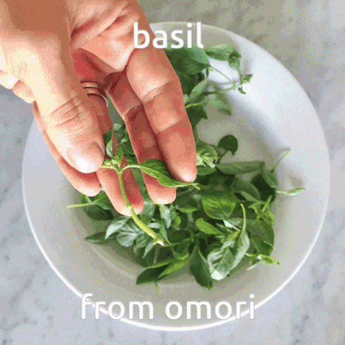 Basil Omori GIF - Basil Omori Omori Basil GIFs