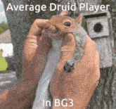 Average Druid GIF - Average Druid Player GIFs