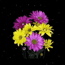 Yellow Pink GIF - Yellow Pink Flowers GIFs