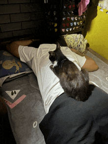 a cat laying on a man 's back with the number 0 on the bottom right
