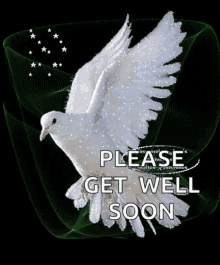 get well feel better sparkles bird