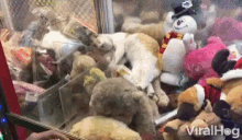 Viral Hog Videos Cat Stuck In A Claw Machine GIF