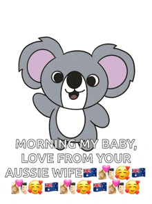 wave koala
