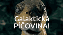 Picovina Galakticka Picovina GIF