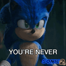 Youre Never Going To Get My Power Sonic GIF - Youre Never Going To Get My Power Sonic Sonic The Hedgehog2 GIFs